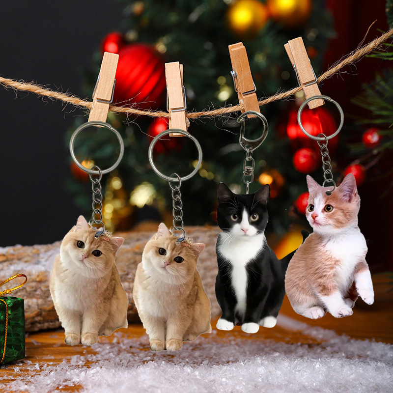 Schwarz-weißer Katzen-Schlüsse – Resin Art Design Keychain Bewertung und Preis
