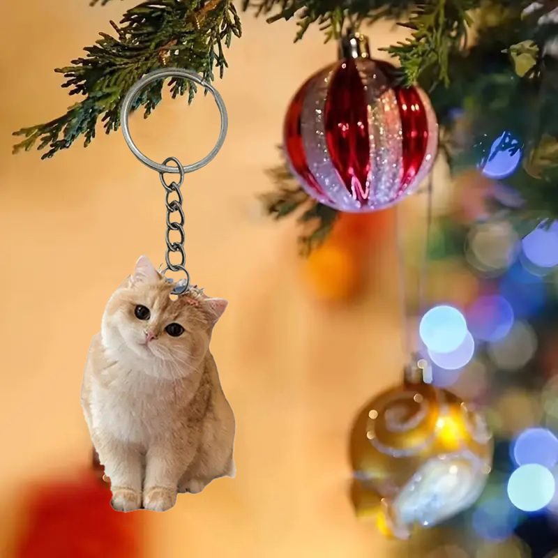 Schwarz-weißer Katzen-Schlüsse – Resin Art Design Keychain Bewertung und Preis